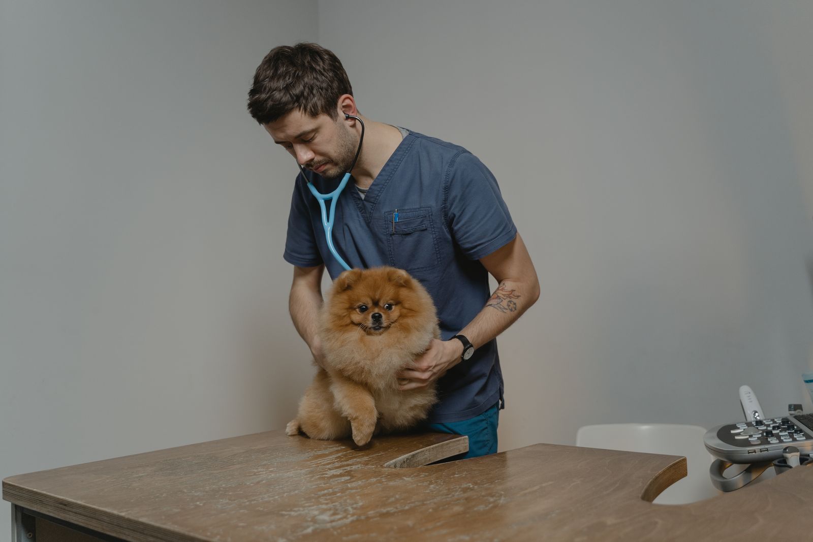 Veterinar pregleda psa na stolu u ordinaciji